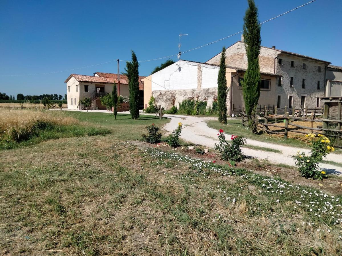 B&B Castel Goffredo San P 3 Buitenkant foto