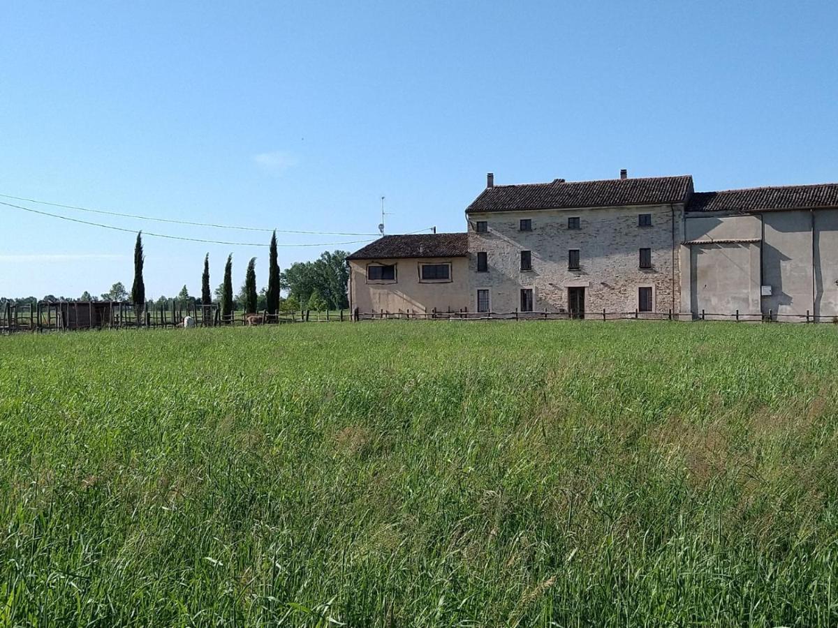 B&B Castel Goffredo San P 3 Buitenkant foto