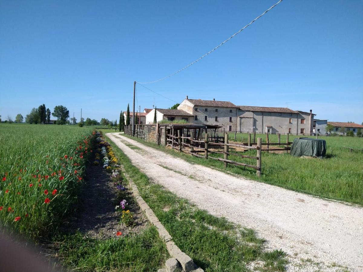 B&B Castel Goffredo San P 3 Buitenkant foto