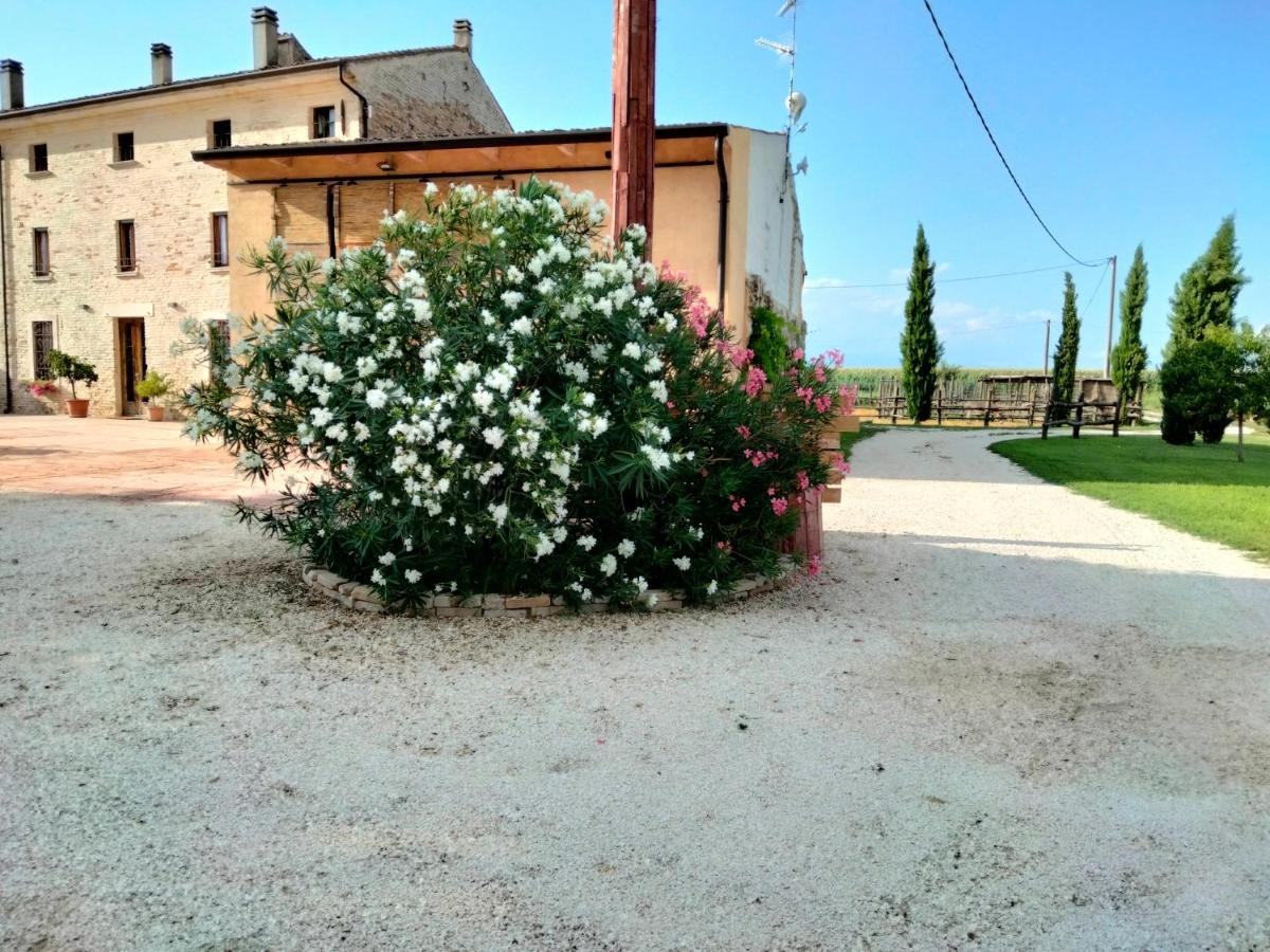 B&B Castel Goffredo San P 3 Buitenkant foto