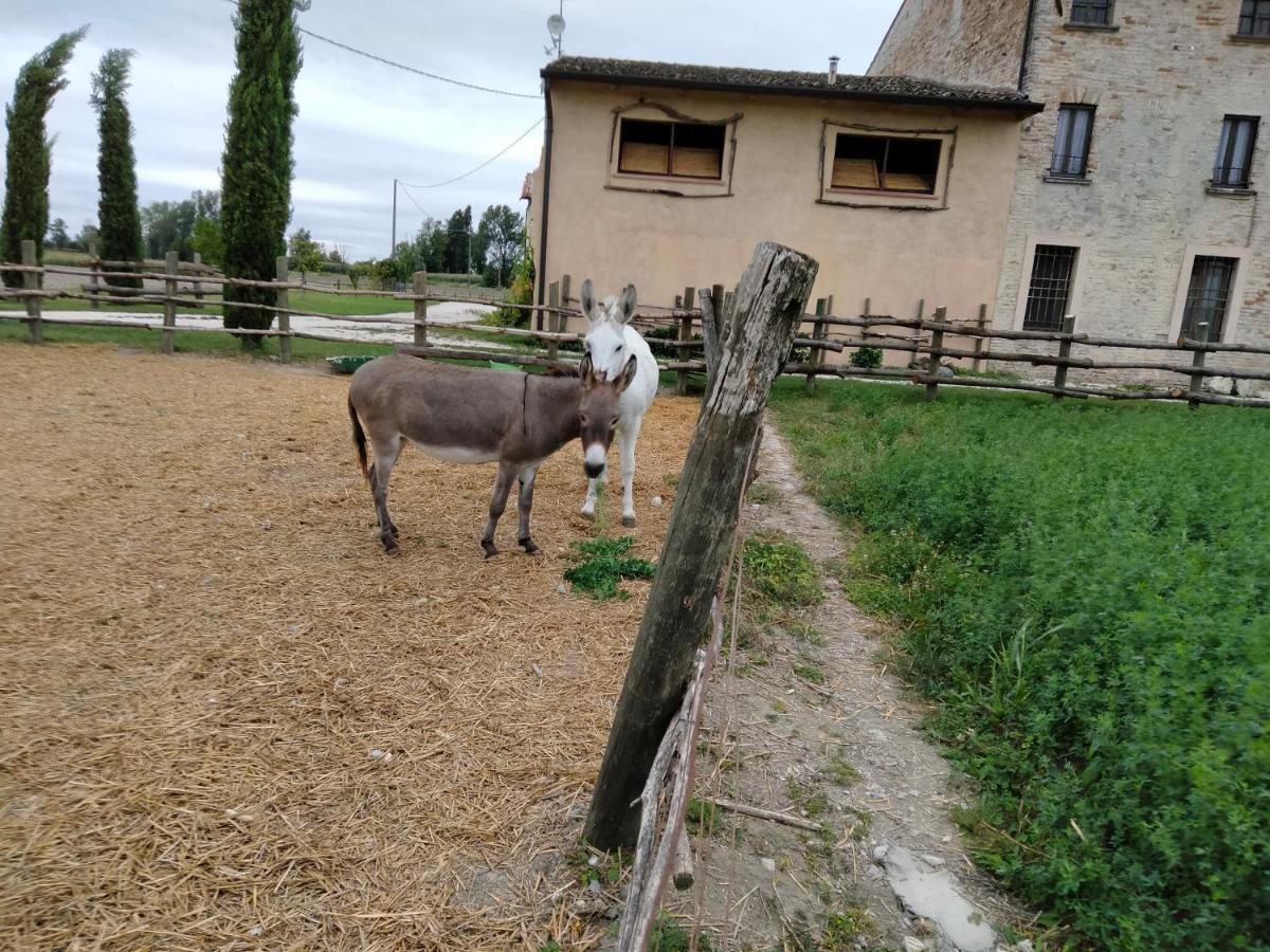 B&B Castel Goffredo San P 3 Buitenkant foto