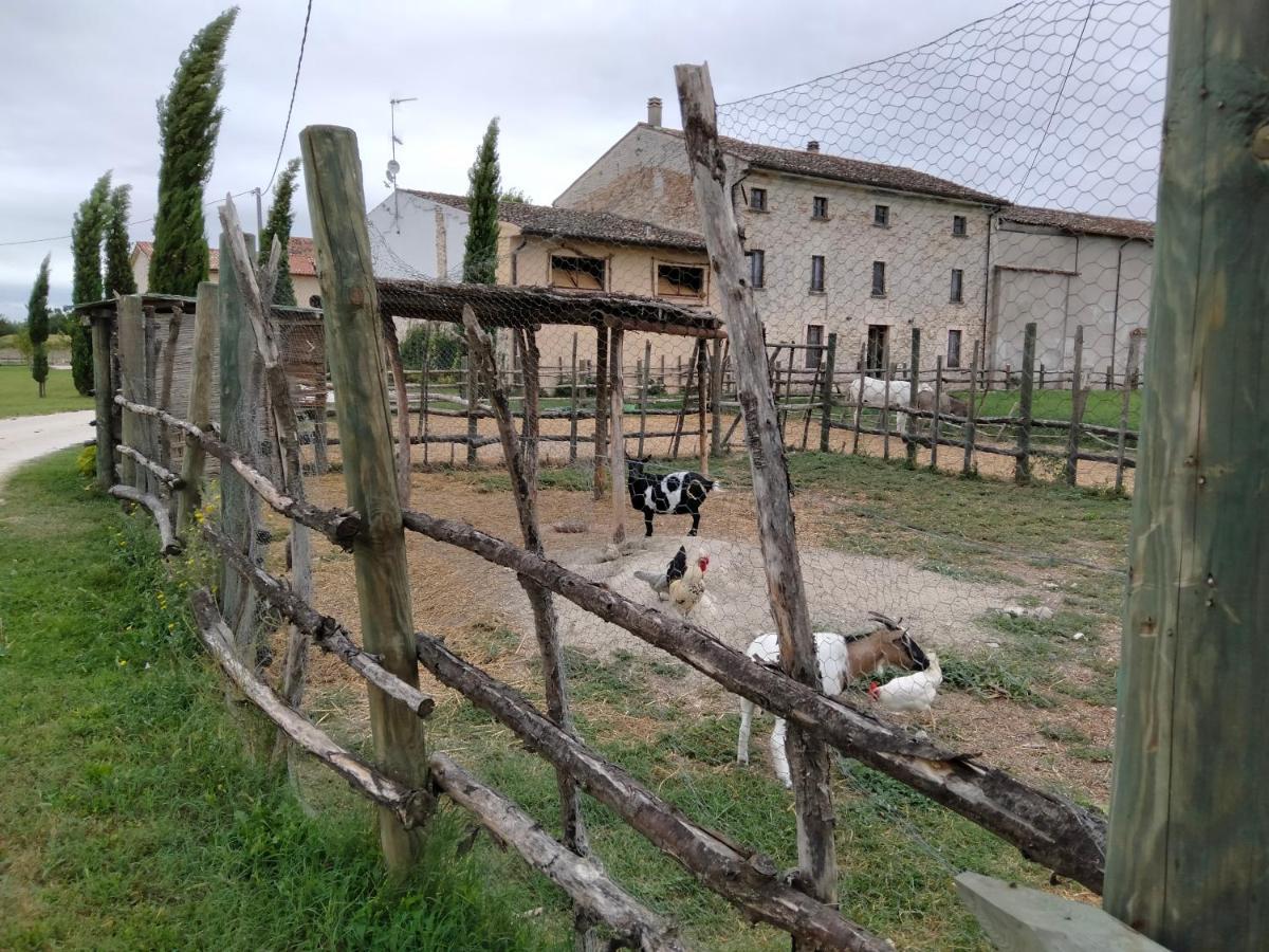 B&B Castel Goffredo San P 3 Buitenkant foto