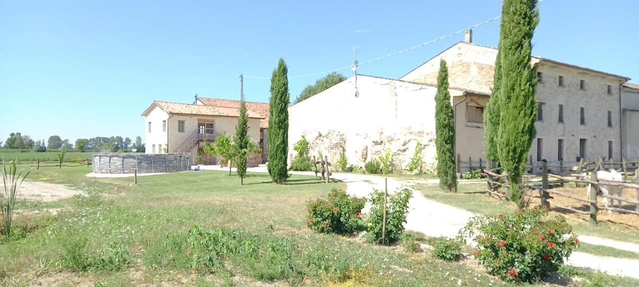 B&B Castel Goffredo San P 3 Buitenkant foto